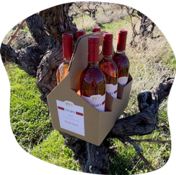 Rosé Lovers
