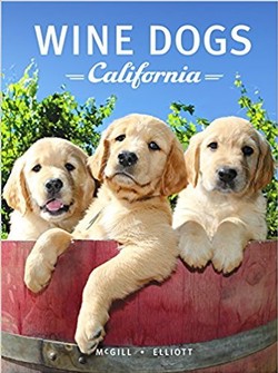 Wine Dogs of Califorina 2